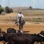 Campo abierto - ukázka práce na býčí farmě