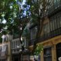Typické uličky Jerezu stíněné bujnou vegetací